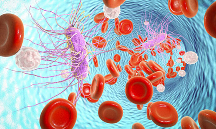 Вебинар Академии ДИАКОН