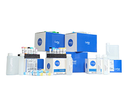 Набор для определения гемоглобина скрытой крови в кале FOB Turbilatex в Краснодаре