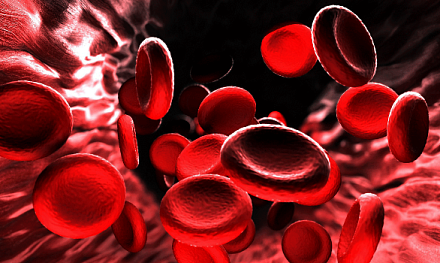 Реагенты для Lifotronic H8 и H9 производят в России.